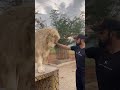 وقت لقاء الأسد