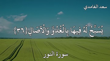 سعد الغامدي سورة النور  فِي بُيُوتٍ أَذِنَ اللَّهُ أَنْ تُرْفَعَ وَيُذْكَرَ فِيهَا اسْمُهُ