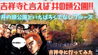 【街歩き】吉祥寺を練り歩き！！！これが井の頭公園！？