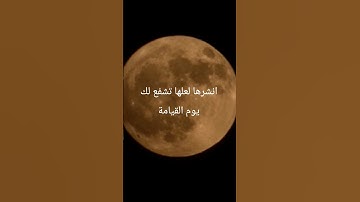 #quran #القرآن_الكريم #تلاوة_خاشعة #تلاوات #قرآن #صلوا_على_النبي #تلاوة #اكسبلور #آيات