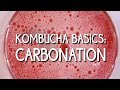 Kombucha Basics: Carbonation