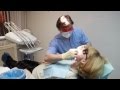 Какие есть виды протезирования зубов? Говорит ЭКСПЕРТ