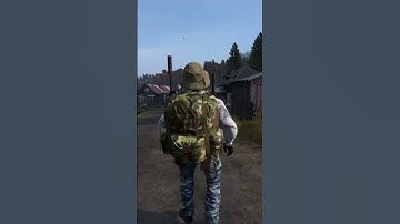 Best spawn ever | #dayz #shorts