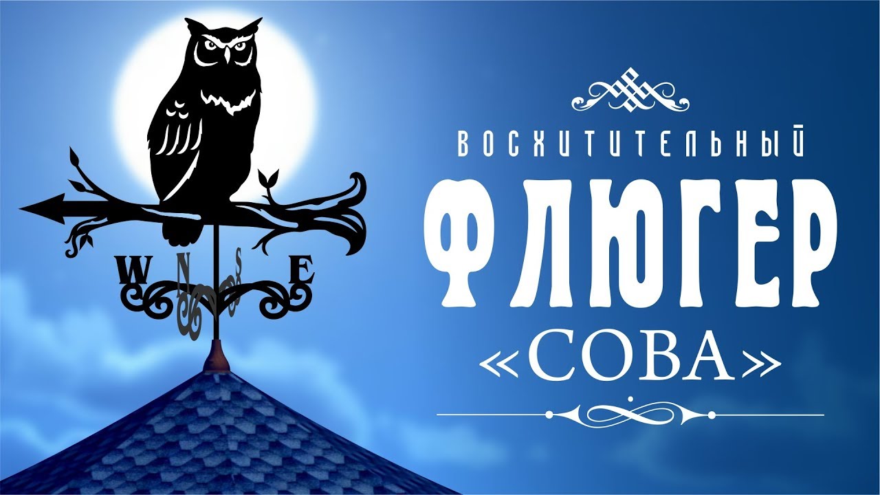 сова на крыше дома