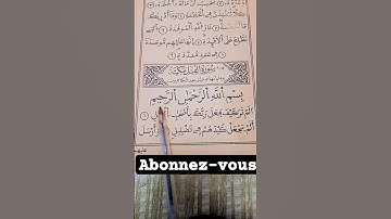 سورة الفيل بصوت رائع يهز القلب #سورة_الفيل #قرآن #القرآن_الكريم #تلاوة #اسلام #خشوع