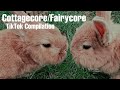 cottagecore/fairycore aesthetic tiktok compilation~