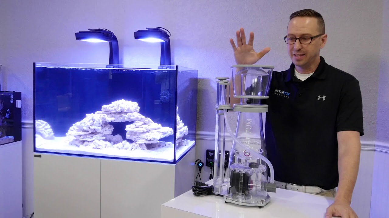 Installing a Nyos Protein Skimmer on a Waterbox Aquarium 