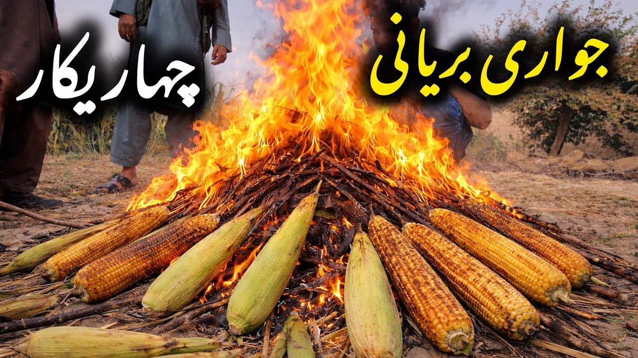 جواری🌽🌽 بریانی در یکی از قریه های زیبای ولایت پروان😊🇦🇫..... - YouTube