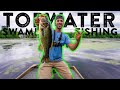 Chasing GIANT SWAMP BASS ONLY USING TOPWATER!