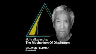 #UltraExcerpts: The Mechanism Of Diaphragm ft. Dr. Jack Feldman