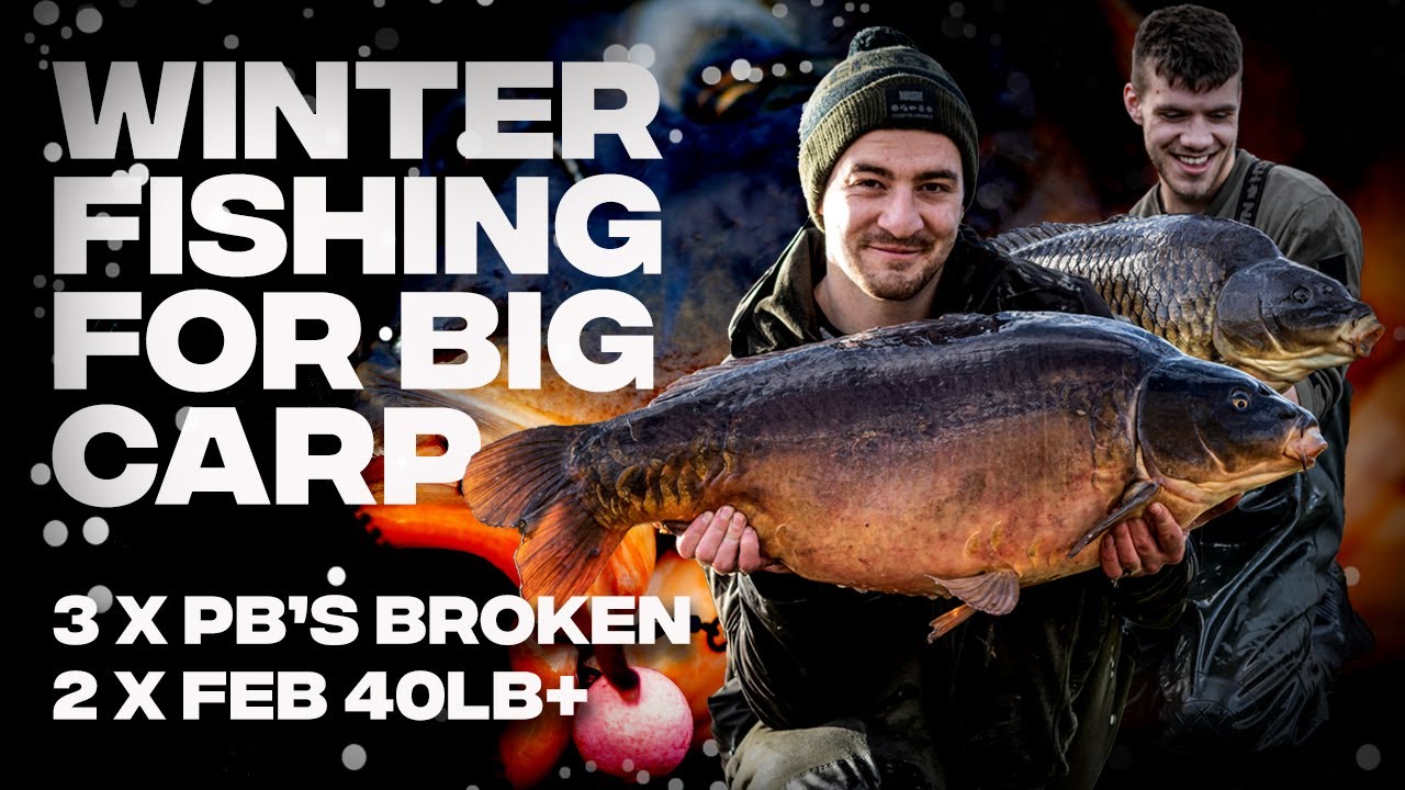 Winter Carp Fishing for Big Fish - Two 40lb+ Carp - Henry Lennon