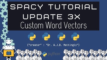 How to Load Custom Word Vectors into a spaCy Model