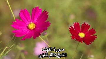 تلاوة مباركة سورة الكهف بصوت شجي| قراءة بالطور العراقي | استمع على نية زيادة البركة والتوكل على الله