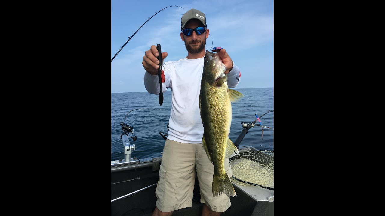 How to use Torpedo Fishing 12oz Cuda Snap Weight for DEEP Lake Erie Summer Walleye