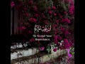والله يريد ان يتوب عليكم ويريد الذين يتبعون الشهوات سورة النساء القارئ طارق محمد