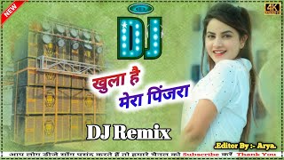 Khula Hai Mera Pinjara Aa Meri Maina Full Bass Brazil Malaai Music New Dj Songs Remix Vibration