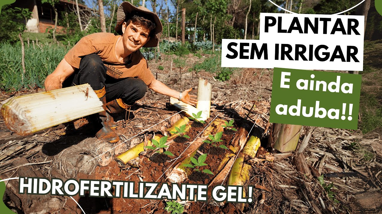 Como usar TRONCOS DE BANANEIRA na HORTA