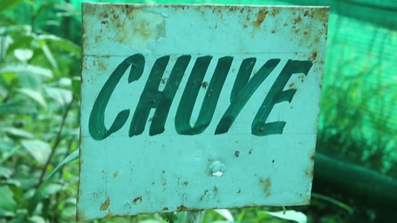 PARC NTHRI Shinkiari Shoaib Ahmed sap 19738 MAMP Final Year project supervisior Dr Raja Kashif Janju