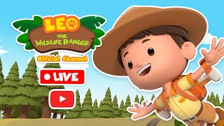 🔴 NEW EPISODES OF LEO THE WILDLIFE RANGER LIVE STREAM  #live #new #animals