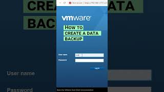 How to set up backup options for virtual machines and ESXi system configuration #shorts #short