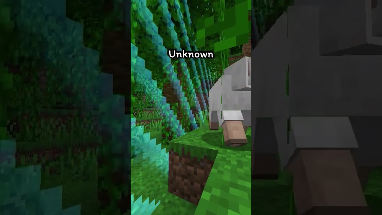 What Will Happen When We Finally Reach The Border?#shorts #minecraft
