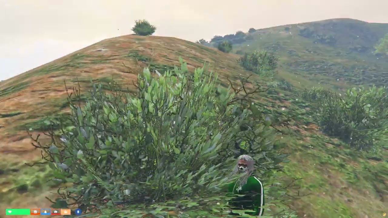 1 gf bloods (baylife)