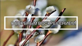 🌿Поздравление С Вербным Воскресеньем!