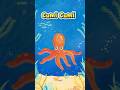 Cumi Cumi #animals #hewanlaut #shorts