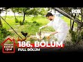 Temizlik benim im 186 blm