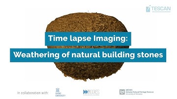 Time-lapse micro-CT: Gypsum formation on limestone
