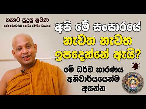 අපි මේ සංසාරයේ නැවත නැවත ඉපදෙන්නේ ඇයි? | Borelle Kovida Thero