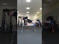 Bird Dog Row - Musculation