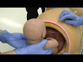 切開創胎児娩出トレーナーを利用した実習の様子(新潟大学様)│日本スリービー・サイエンティフィック株式会社