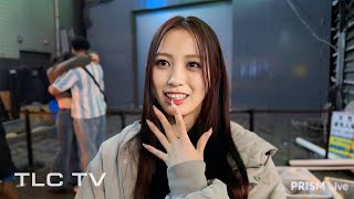 【LIVE】渋谷スクランブル交差点ライブカメラ  Shibuya Scramble Crossing Live Camera 2025 11/08