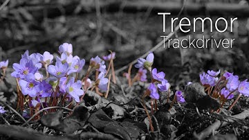 Buchla Easel Command 208C - Tremor