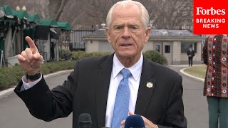 Celebrity JUST IN: Top Trade Adviser Peter Navarro Gives Update On Trump's Canada, China, And Mexico Tariffs Net Worth