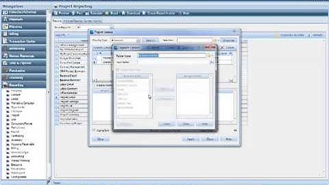 Deltek Vision How-To: Reporting Options, Selection, and Favorites in Deltek Vision
