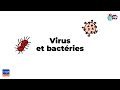 Virus et bactries