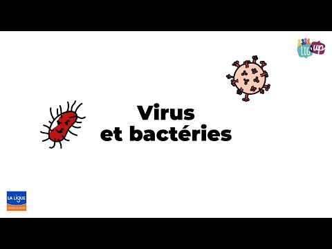 Vidéo: 3 façons de distinguer un virus d'une infection bactérienne