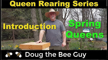 Queen Rearing Series Episode 1: Introduction