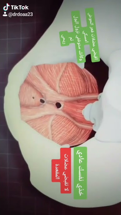 اعملي كيجل مع الفيديو ٨٠ مرة باليوم