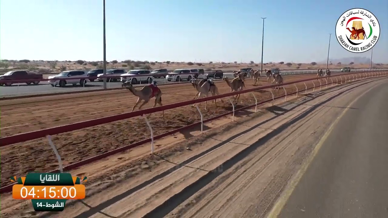 ميــدان الذيد - ش 14 اللقايا 18/01/2026  نجاح لـ عبيد راشد القابض الطنيجي.  التوقيت: 7:40:69