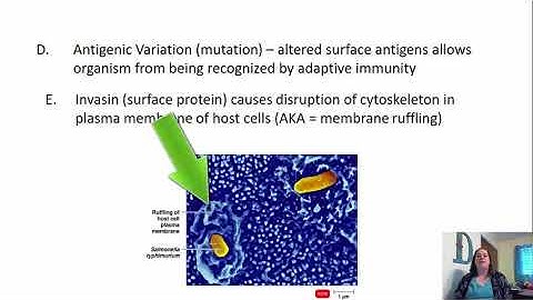 Chapter 15 Microbial Mechanisms of Pathogenicity