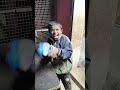 Funny reaction #humor #funnyshorts #shorts #strangerthings  #reaction #funnyreaction #funnymemes #