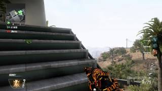 Double Collateral Trickshot on Raid! (BO2)