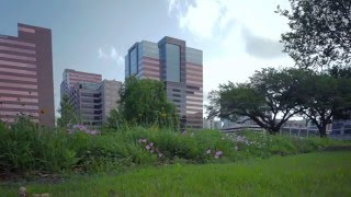 Why KPC Plants Pocket Prairies
