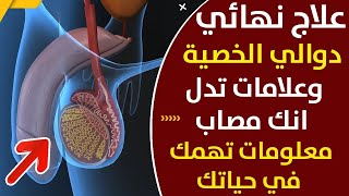 افضل واقوي علاج دوالي الخصية بدون جراحة الفحص الذاتي لدوالي الخصية للرجل وزيادة الباءة وللبروستاتا