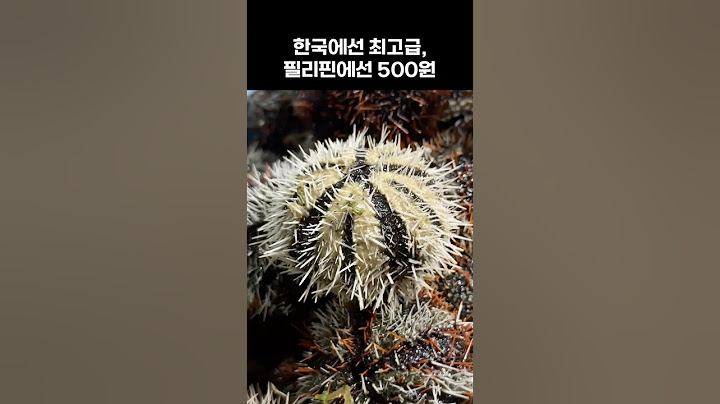 필리핀 길거리 음식 한국에서 최고급 요리?