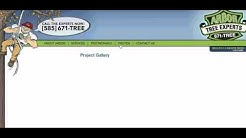 Arbor Tree Experts: tree service Rochester, NY