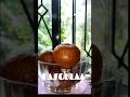 GULAB JAMUN RECIPIE SIMPLE YET AUTHENTIC #authentic #rasgulla